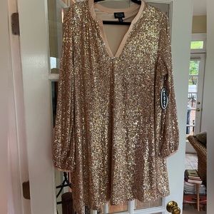 Champaign Sequin V-Neck Tunic Dress. Size 12-14.